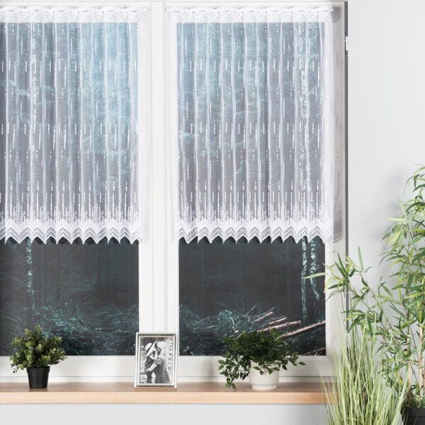 000146_BIS_001_000090_1_1 000146_BIS_001_000090_1_1