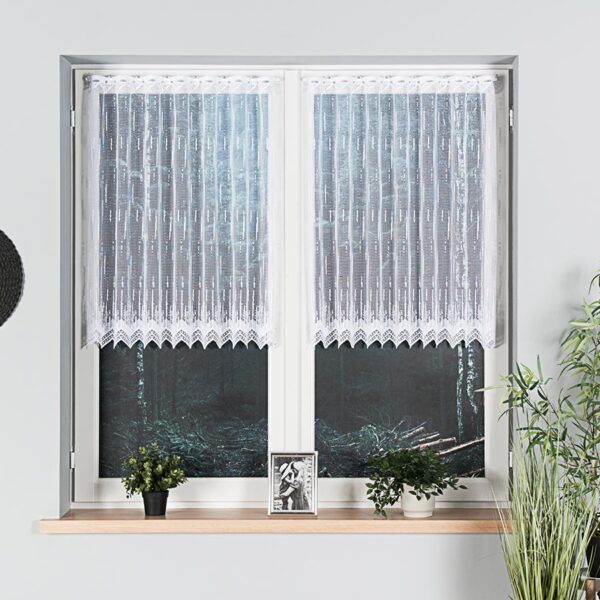 000146_BIS_001_000090_1_2 000146_BIS_001_000090_1_2