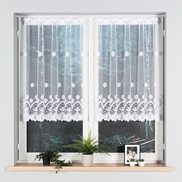 004421_000_001_000100_1_2 004421_000_001_000100_1_2