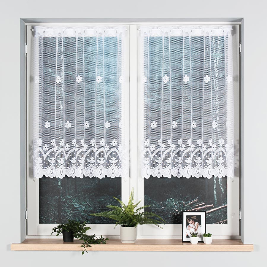 004421_000_001_000100_1_2