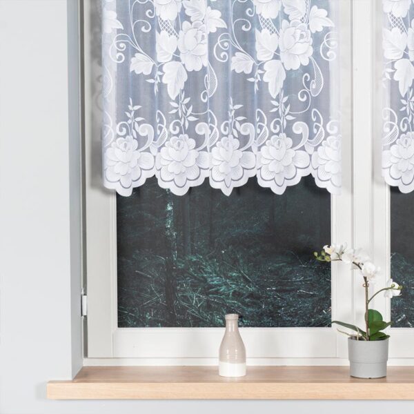 023006_000_001_000100_1_1 023006_000_001_000100_1_1