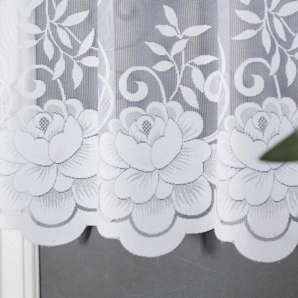 023006_000_001_000100_1_5 023006_000_001_000100_1_5