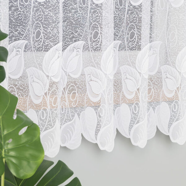 023097_000_001_000180_1_5 023097_000_001_000180_1_5