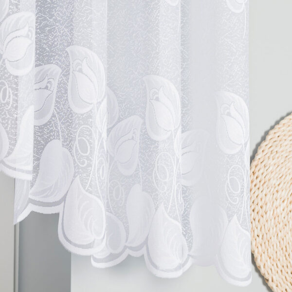 023097_FBL_001_400090_1_3 023097_FBL_001_400090_1_3