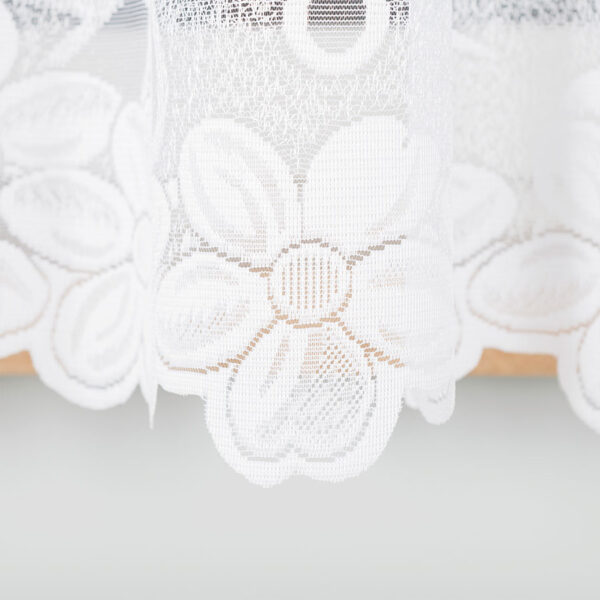 049885_000_001_000170_1_5 049885_000_001_000170_1_5