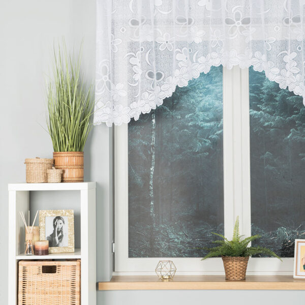 049885_FBL_001_250080_1_2 049885_FBL_001_250080_1_2