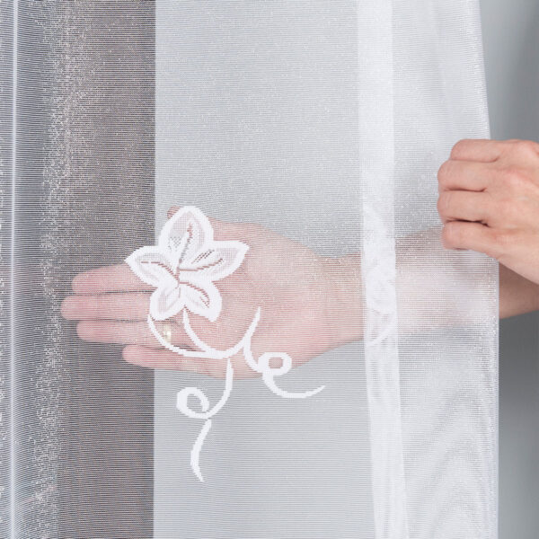 090255_FBP_001_200250_1_6 090255_FBP_001_200250_1_6