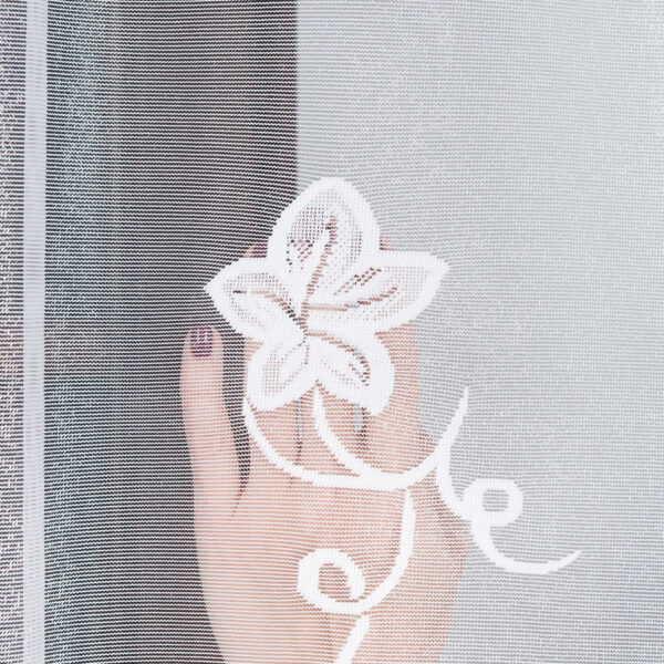 090255_FBP_001_200250_1_8 090255_FBP_001_200250_1_8