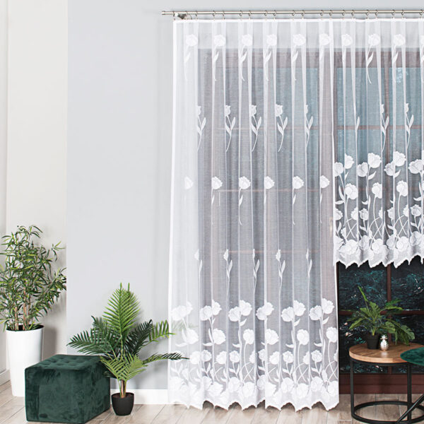 090264_FBP_001_300250_1_1 090264_FBP_001_300250_1_1