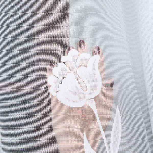 090264_FBP_001_300250_1_11 090264_FBP_001_300250_1_11