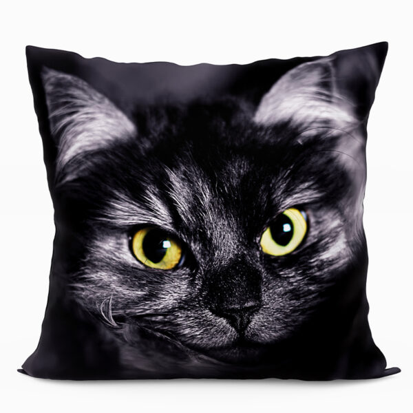 T00012_SIL_001_040040_1_1 T00012_SIL_001_040040_1_1