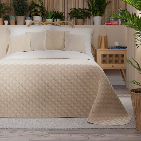 VELVI0_NAP_003_220240_1_2 VELVI0_NAP_003_220240_1_2