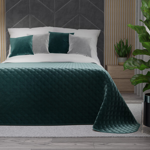 VELVI0_NAP_008_220240_1_2 VELVI0_NAP_008_220240_1_2