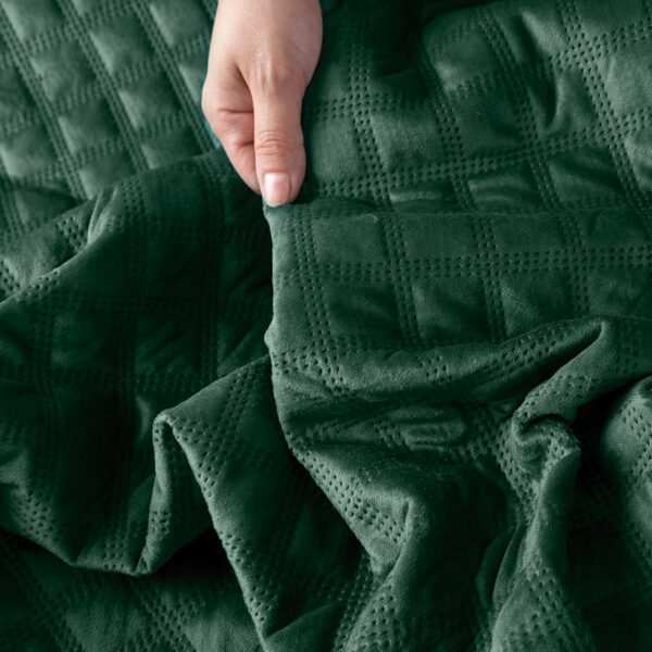 VELVI0_NAP_010_170210_1_5 VELVI0_NAP_010_170210_1_5