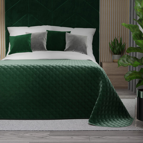 VELVI0_NAP_010_220240_1_2 VELVI0_NAP_010_220240_1_2