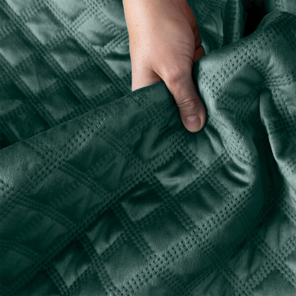 VELVI0_NAP_012_170210_1_5 VELVI0_NAP_012_170210_1_5