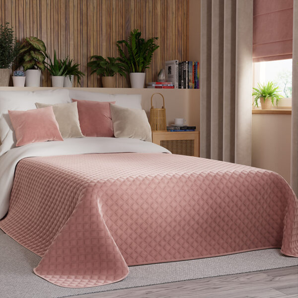 VELVI0_NAP_013_170210_1_2 VELVI0_NAP_013_170210_1_2