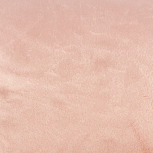 VELVI0_POP_004_040040_1_2 VELVI0_POP_004_040040_1_2