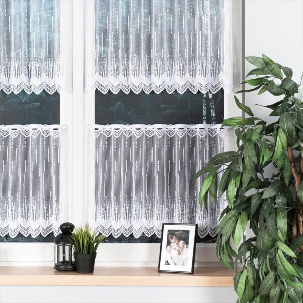 000146_BIS_001_000070_1_1 000146_BIS_001_000070_1_1