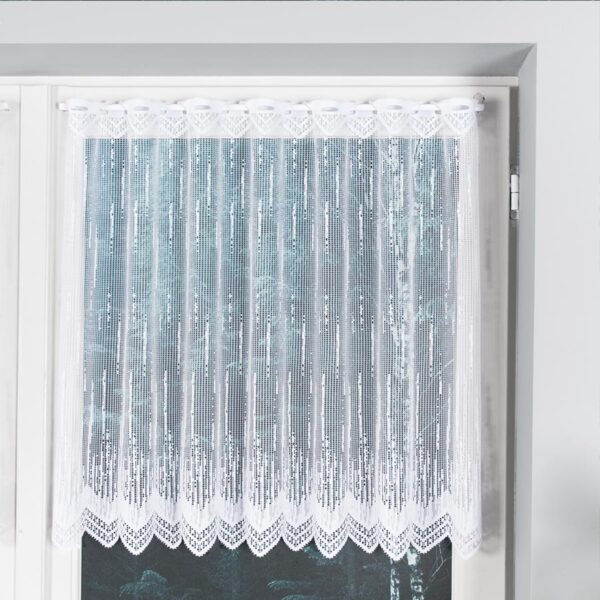 000146_BIS_001_000070_1_7 000146_BIS_001_000070_1_7