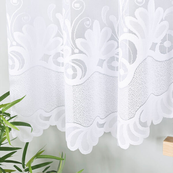 007003_FBL_001_500160_1_5 007003_FBL_001_500160_1_5