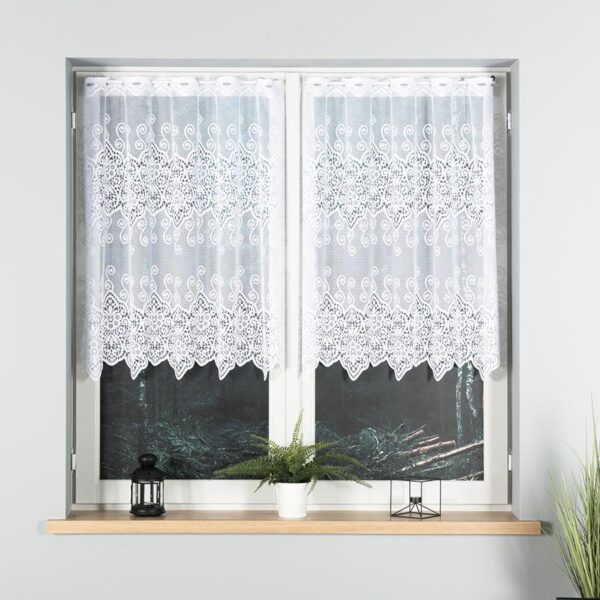 018495_000_001_000100_1_1 018495_000_001_000100_1_1