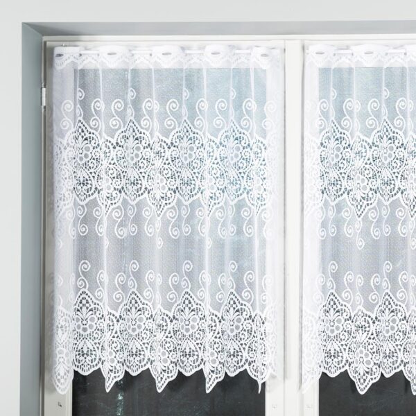 018495_000_001_000100_1_2 018495_000_001_000100_1_2