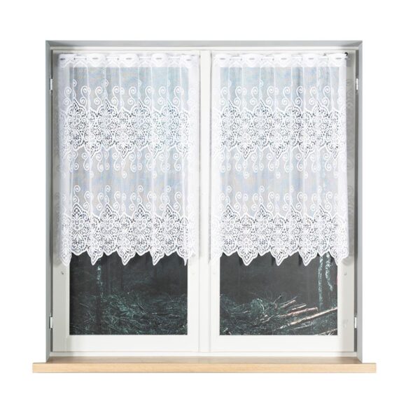 018495_000_001_000100_1_7 018495_000_001_000100_1_7