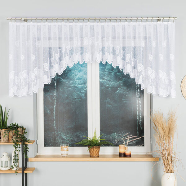 023097_FOL_001_000092_1_1 023097_FOL_001_000092_1_1