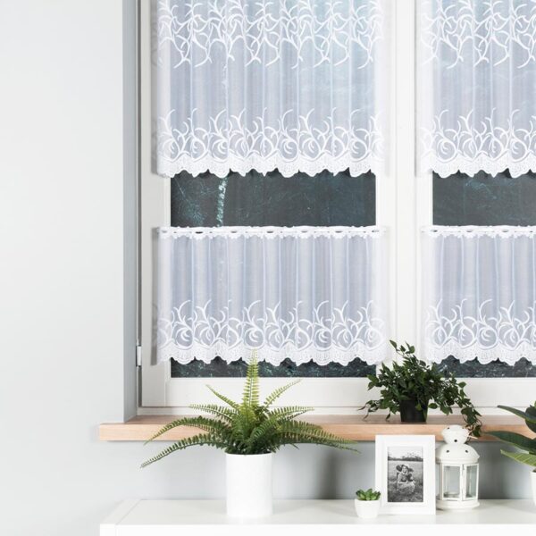 023297_000_001_000040_1_2 023297_000_001_000040_1_2