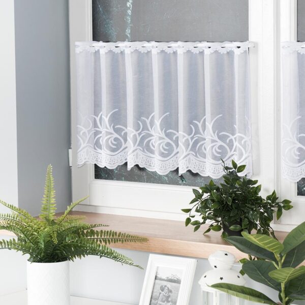 023297_000_001_000040_1_3 023297_000_001_000040_1_3