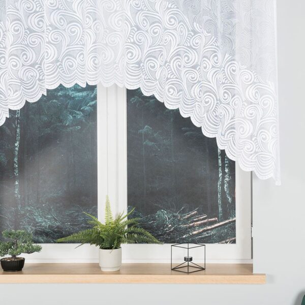 023391_FBL_001_250120_1_2 023391_FBL_001_250120_1_2