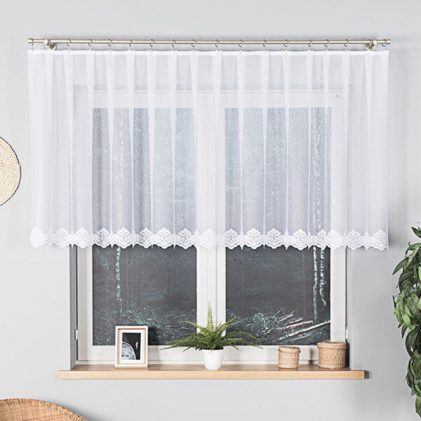 023405_000_001_000100_1_1 023405_000_001_000100_1_1