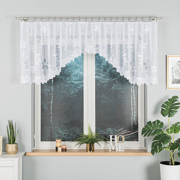 049885_FOL_001_000081_1_1 049885_FOL_001_000081_1_1