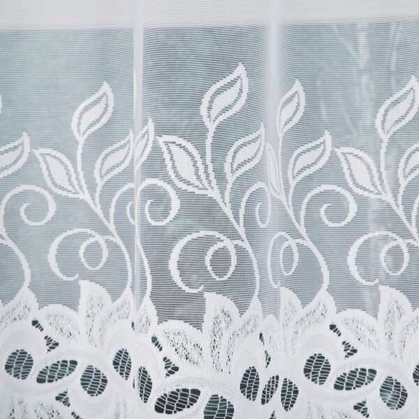 648107_FBL_001_250120_1_4 648107_FBL_001_250120_1_4