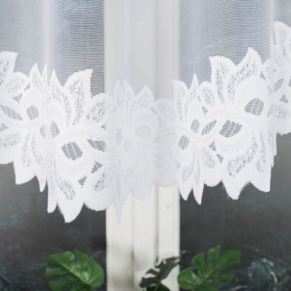 648107_FBL_001_250120_1_6 648107_FBL_001_250120_1_6