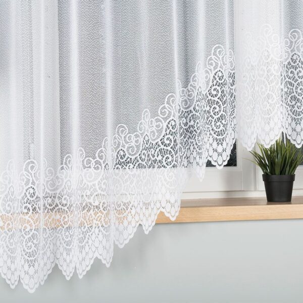 001539_BLY_001_000181_1_2 001539_BLY_001_000181_1_2