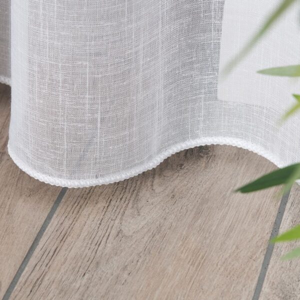 015597_OLO_001_000290_1_5 015597_OLO_001_000290_1_5