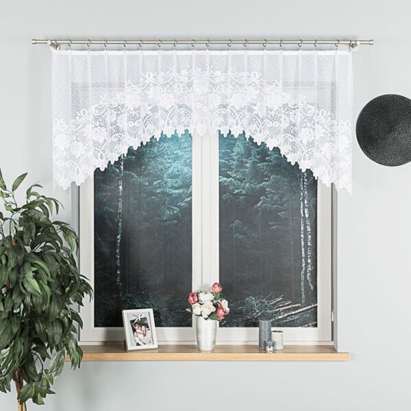 017480_FOL_001_000081_1_1 017480_FOL_001_000081_1_1