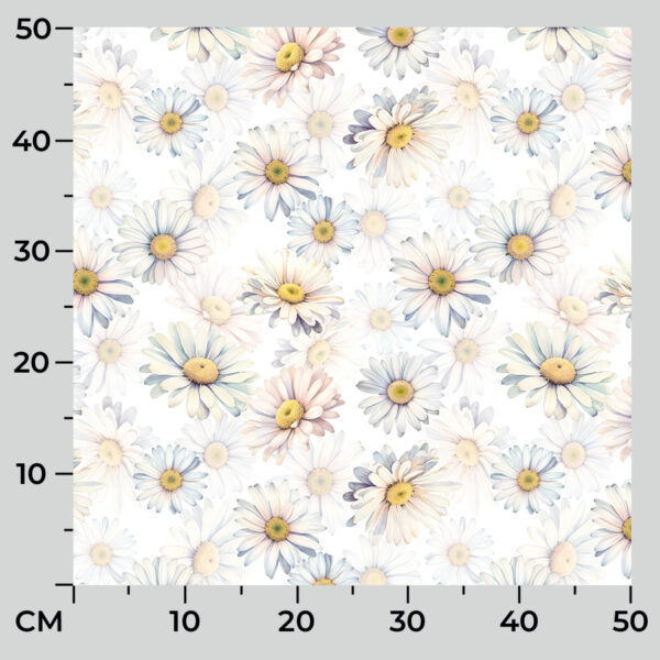 D00206_OXW_001_145000_1_11 D00206_OXW_001_145000_1_11