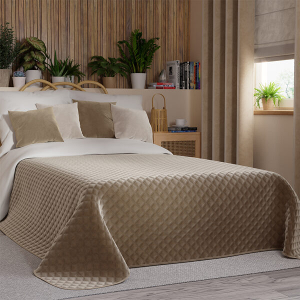 VELVI0_NAP_001_170210_1_2 VELVI0_NAP_001_170210_1_2