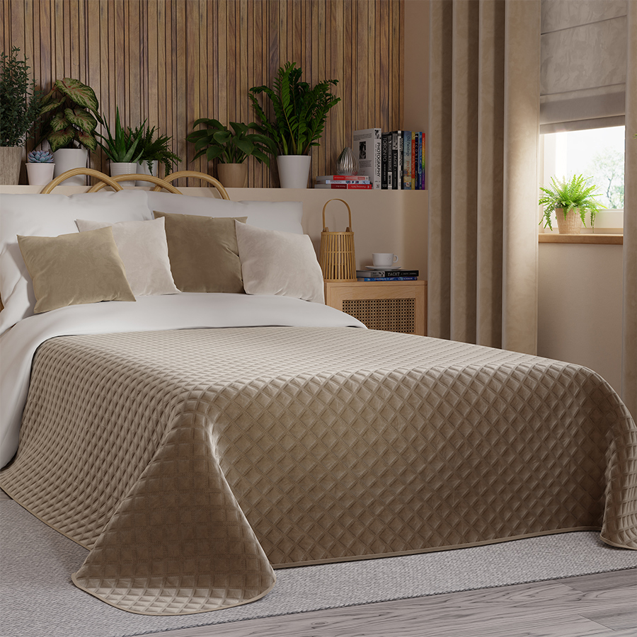 VELVI0_NAP_001_170210_1_2