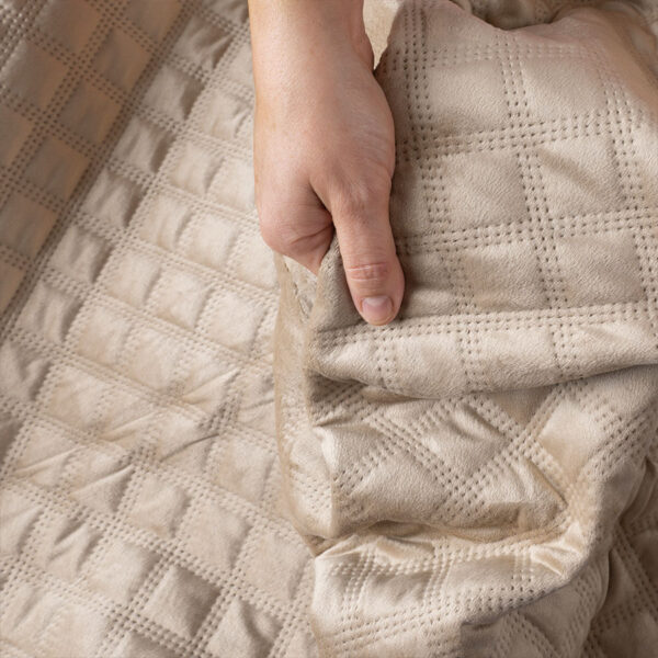 VELVI0_NAP_001_170210_1_5 VELVI0_NAP_001_170210_1_5