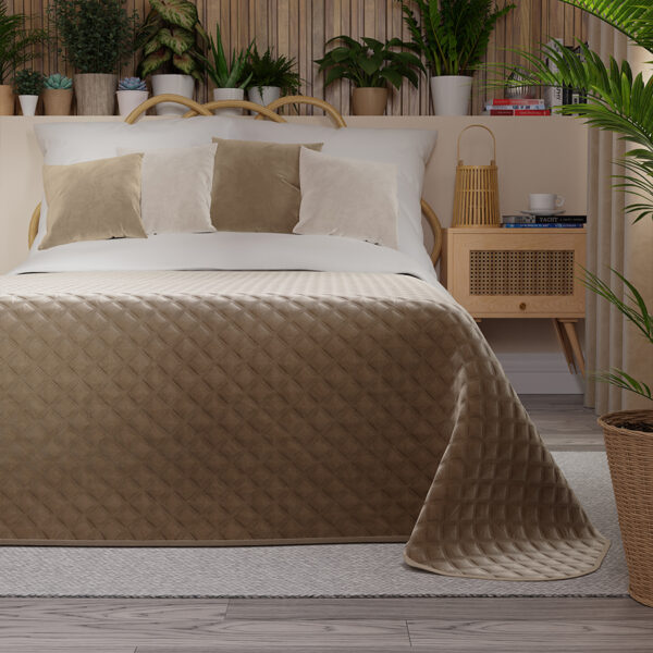 VELVI0_NAP_001_220240_1_2 VELVI0_NAP_001_220240_1_2