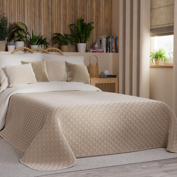 VELVI0_NAP_015_170210_1_2 VELVI0_NAP_015_170210_1_2