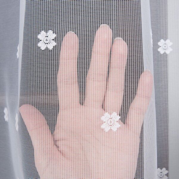 023401_000_001_000200_1_10 023401_000_001_000200_1_10