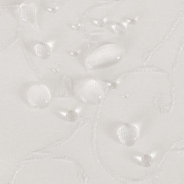 004790_000_C12_160000_1_5 004790_000_C12_160000_1_5