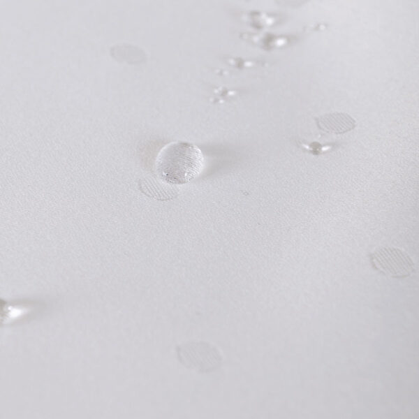 004791_000_C01_110160_1_5 004791_000_C01_110160_1_5