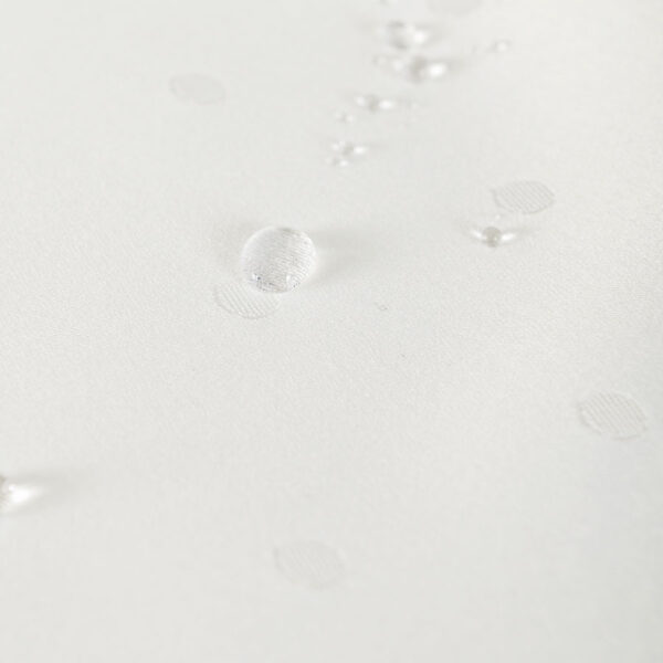 004791_000_C12_160000_1_5 004791_000_C12_160000_1_5