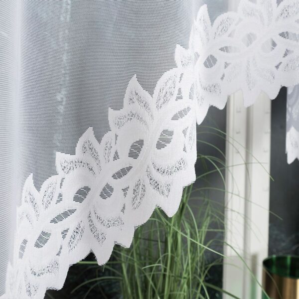 648107_FBL_001_250130_1_3 648107_FBL_001_250130_1_3